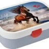 Mepal Lunchbox Campus - Wild Horse