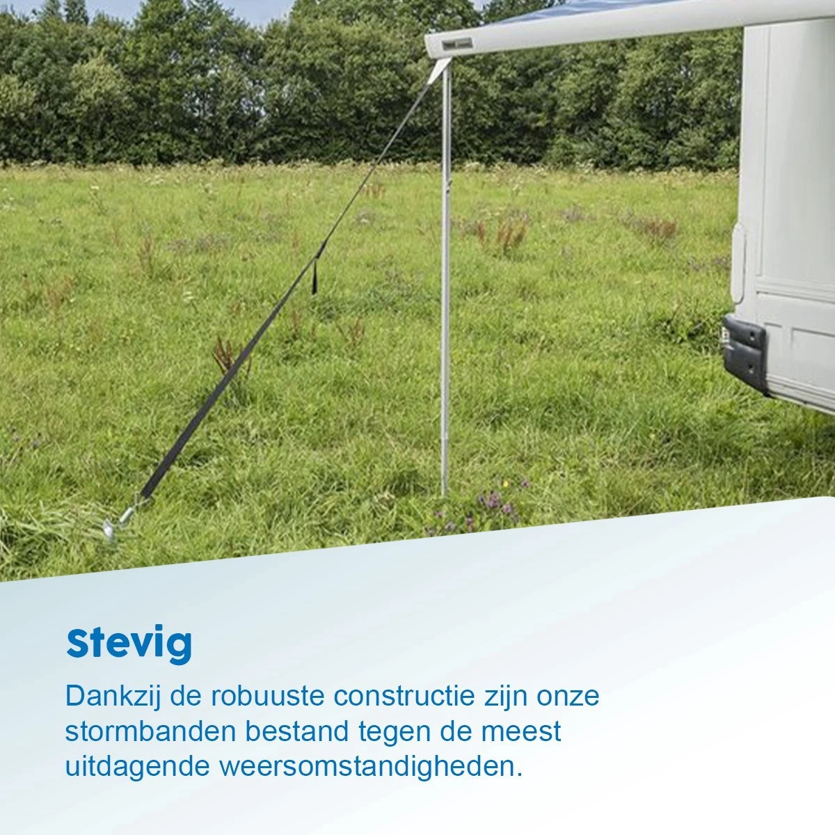 ProPlus Stormband Set 2X 3,2M Met Peesbevestiging 2 ProPlus Stormband Set 2X 3,2M Met Peesbevestiging - Afbeelding 2