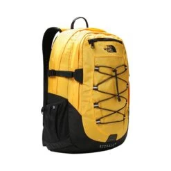 The North Face Borealis Classic -Kampeeruitrusting the north face borealis classic dagrugzak 705x705 45286